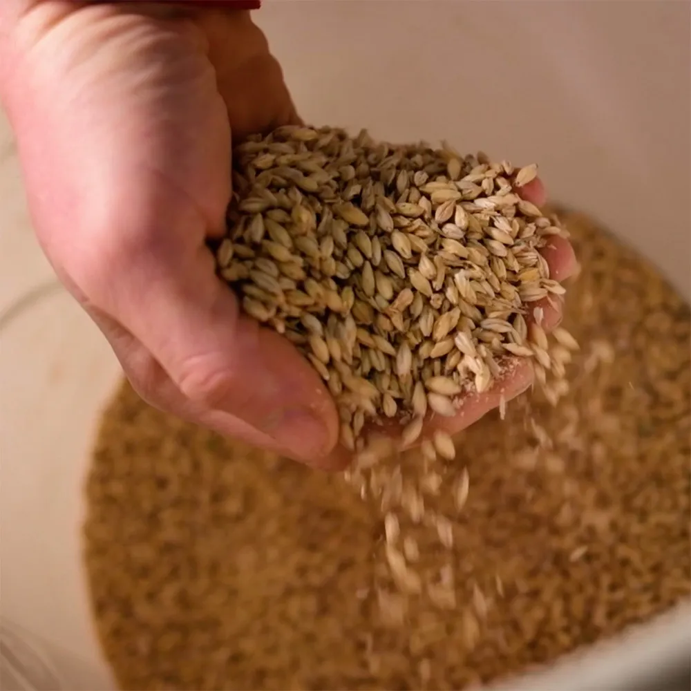 Maker’s Mark red winter wheat