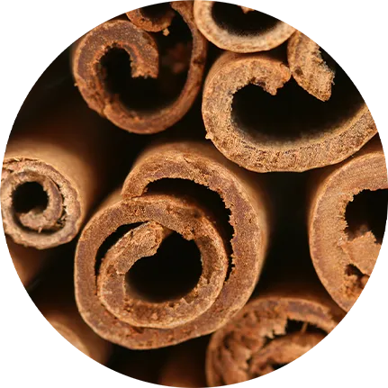 cinnamon sticks