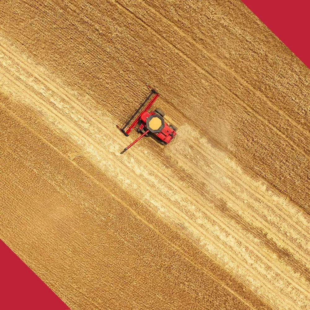 Locally Grown Whisky Regenerative Agriculture Alliance Partners Bourbon Makers Mark