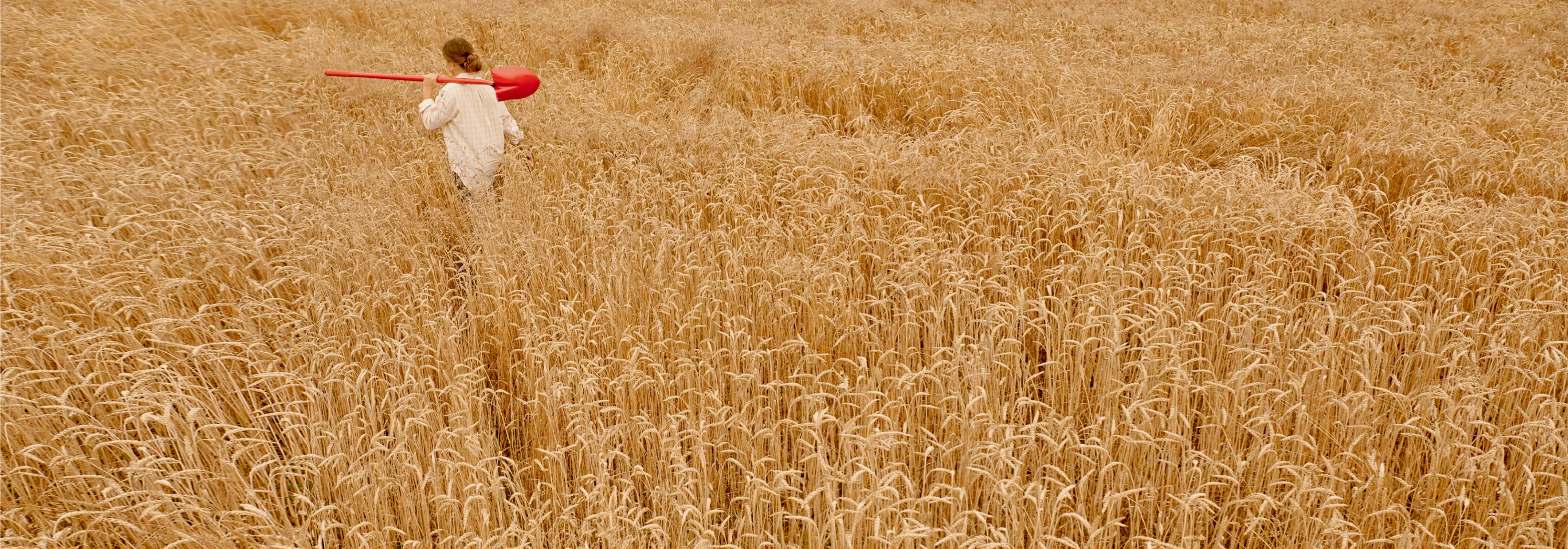 Mashbills Sourced from Certified Farms for Star Hill Farms Whisky Makers Mark