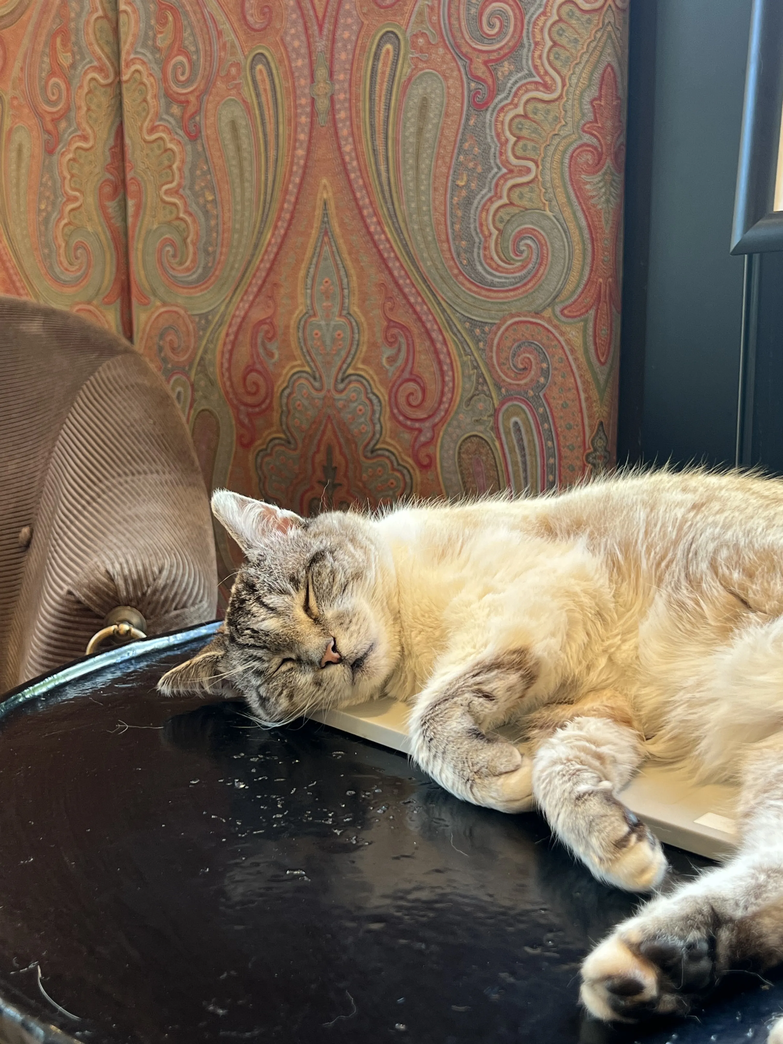 Whiskey Jean Samuels sleeping