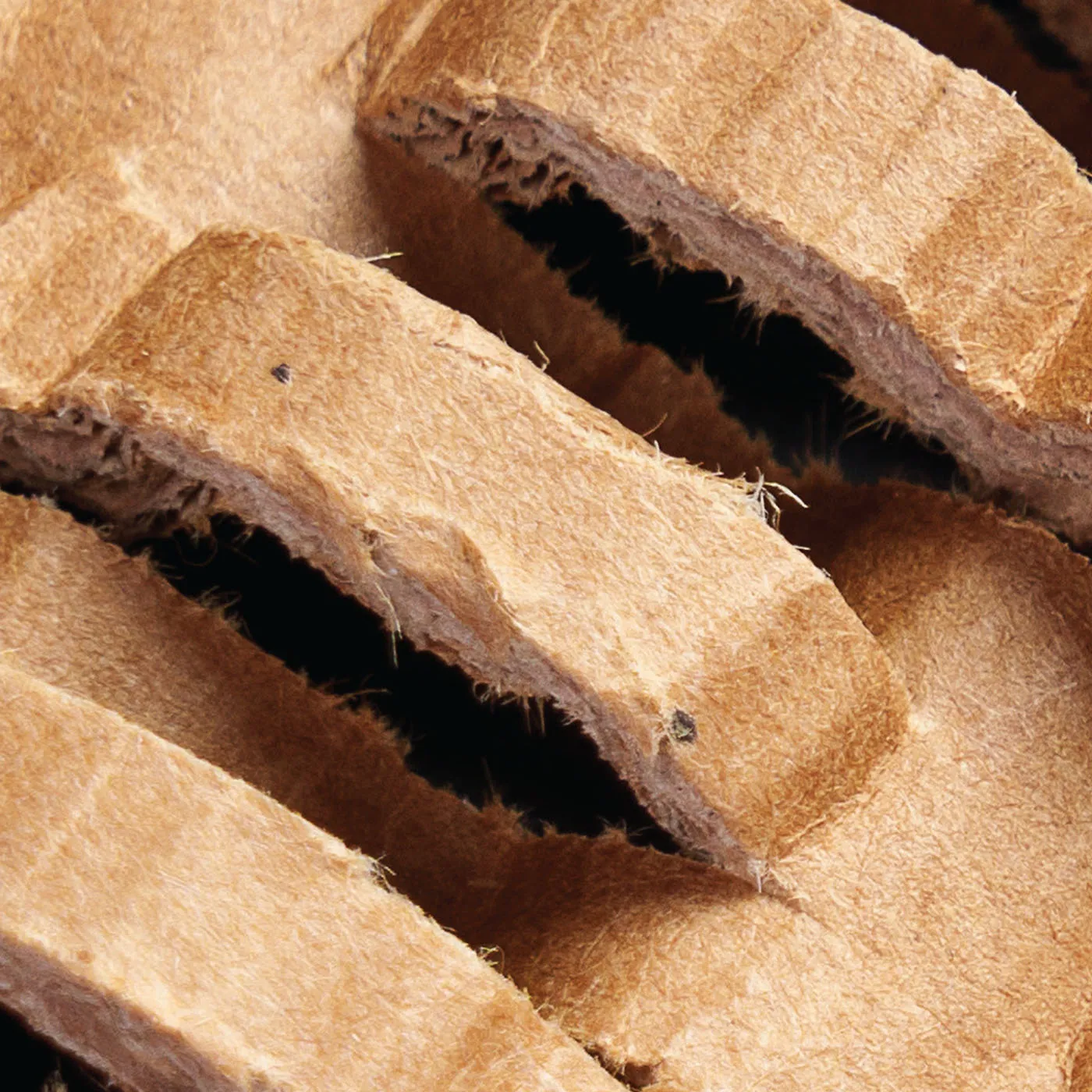 perforated cardboard